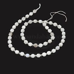 Natural Rainbow Moonstone Beads Strands&nbsp;G-O201B-16