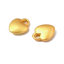 Alloy Charms&nbsp;PALLOY-S057-02MG