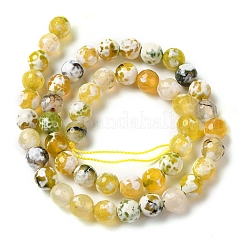 Dyed & Heated Natural Fire Crackle Agate Beads Strands&nbsp;G-P539-B01-16