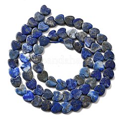Natural Lapis Lazuli Beads Strands&nbsp;G-A272-A01-22
