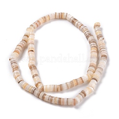 Natural Shell Beads&nbsp;BSHE-B003-13A-01