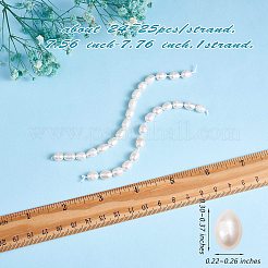 Natural Cultured Freshwater Pearl Beads Strands&nbsp;PEAR-SZ0001-07