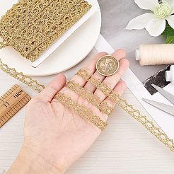 Metallic Lace Trim&nbsp;MCOR-WH0003-03D