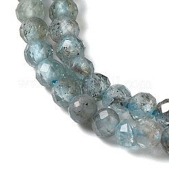 Natural Apatite Beads Strands&nbsp;G-C137-A01-01