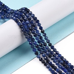 Natural Sodalite Beads Strands&nbsp;X-G-C009-A07