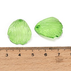 Transparent Acrylic Pendants&nbsp;AC-CBA5040-01H