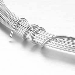 Round Aluminum Craft Wire&nbsp;AW-D009-2mm-5m-01