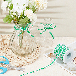 15M Polyester Wavy Fringe Trim Ribbon&nbsp;OCOR-GF0003-04C