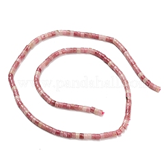 Natural Rhodonite Beads Strands&nbsp;G-P608-A16-01