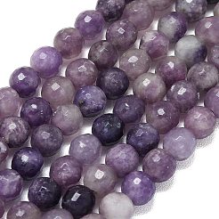 Natural Lepidolite/Purple Mica Beads Strands&nbsp;G-B165-A11-6mm