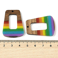 Pride Rainbow Theme Resin & Walnut Wood Pendants&nbsp;WOOD-K012-11B