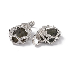 Natural Labradorite Pendants&nbsp;G-P484-03P-06