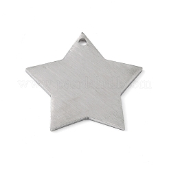 Tarnish Resistant 304 Stainless Steel Pendants&nbsp;STAS-F271-04D-P
