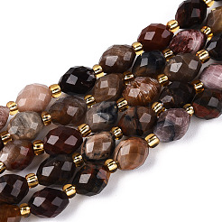 Natural Petrified Wood Beads Strands&nbsp;G-N342-35-8x6-07