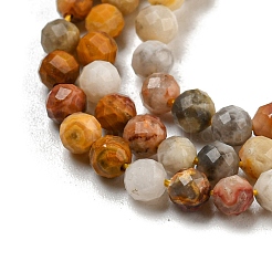 Natural Crazy Lace Agate Beads Strands&nbsp;G-K020-3mm-29