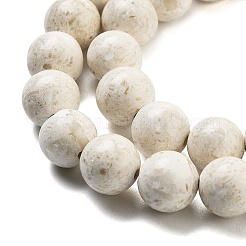 Natural Fossil Beads Strands&nbsp;G-H026-02C