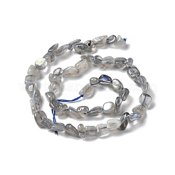 Natural Labradorite Beads Strands&nbsp;G-P497-01A-03