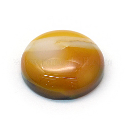 Dyed Natural Striped Agate/Banded Agate Cabochons&nbsp;G-R348-20mm-04