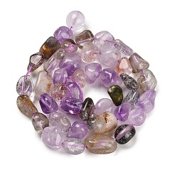 Natural Rutilated Quartz Beads Strands&nbsp;G-P497-01E-08B