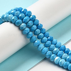 Dyed Natural Howlite Beads Strands&nbsp;G-G023-A01-01B