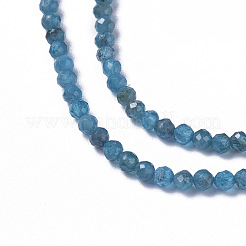 Natural Apatite Beads Strands&nbsp;G-F596-29-2mm