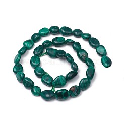 Natural Malachite Beads Strands&nbsp;X-G-L493-42A