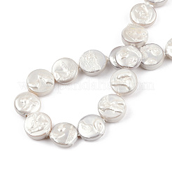 Plating Natural Freshwater Shell Beads Strands&nbsp;SHEL-N026-226
