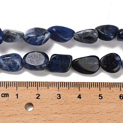 Natural Sodalite Beads Strands&nbsp;G-P497-01E-55