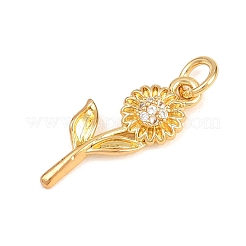 Valentine's Day Brass Micro Pave Cubic Zirconia Pendants&nbsp;KK-H273-42G-02