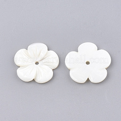 Freshwater Shell Beads&nbsp;SHEL-S274-08