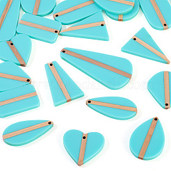 20Pcs 10 Styles Opaque Resin & Wood Pendants Sets&nbsp;RESI-TA0004-63A