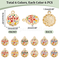 36Pcs 6 Colors Alloy Pendants&nbsp;ENAM-PH0002-29