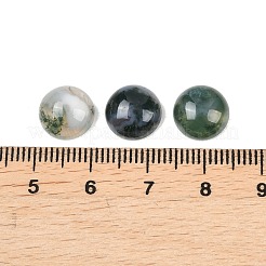 Natural Moss Agate Cabochons&nbsp;G-D367-01A-01