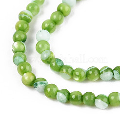 Dyed Natural Trochid Shell/Trochus Shell Beads Strands&nbsp;SSHEL-T017-13C