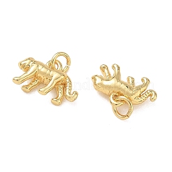 Brass Charms&nbsp;KK-D289-34C-G