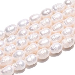Natural Cultured Freshwater Pearl Beads Strands&nbsp;PEAR-T006-04