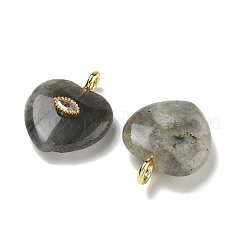 Natural Labradorite Pendants&nbsp;G-P585-03G-21