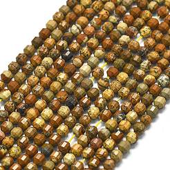 Natural Picture Jasper Beads Strands&nbsp;G-A260-A47-01