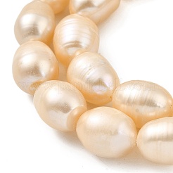 Natural Cultured Freshwater Pearl Beads Strands&nbsp;PEAR-I007-01H-02B