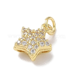 Brass Micro Pave Cubic Zirconia Charms&nbsp;KK-L268-030G-02