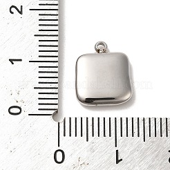 Non-Tarnish 304 Stainless Steel Charms&nbsp;STAS-L022-273P