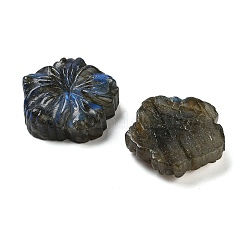 Natural Labradorite Carved Cabochons&nbsp;G-C152-06