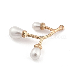 Zinc Alloy Pendants&nbsp;PALLOY-D311-03KCG