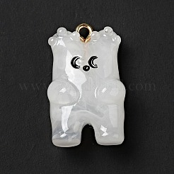 Cartoon Opaque Resin Pendants&nbsp;LS-FIND-I029-01B