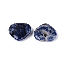 Natural Sodalite Pendants&nbsp;G-Q601-29B