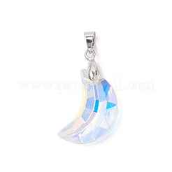 AB Color Plated Glass Pendants&nbsp;PALLOY-JF04595-02