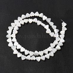 Natural Trochid Shell/Trochus Shell Beads Strands&nbsp;BSHE-E026-19