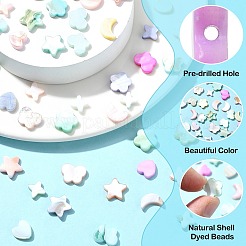 60Pcs 6 Styles Macaron Color Natural Shell Dyed Beads&nbsp;BSHE-CJ0001-13