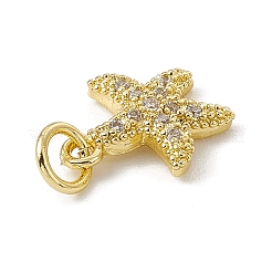 Brass Micro Pave Cubic Zirconia Charms&nbsp;ZIRC-F132-13G