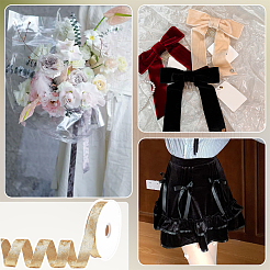 Flat Velvet Ribbon&nbsp;OCOR-WH0078-123B